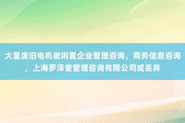 大量废旧电机被闲置企业管理咨询，商务信息咨询，上海罗泽奎管理咨询有限公司或丢弃