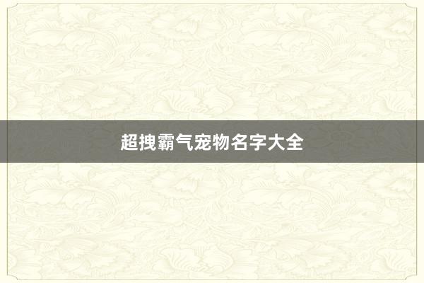 超拽霸气宠物名字大全
