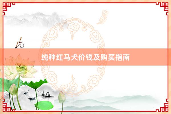 纯种红马犬价钱及购买指南